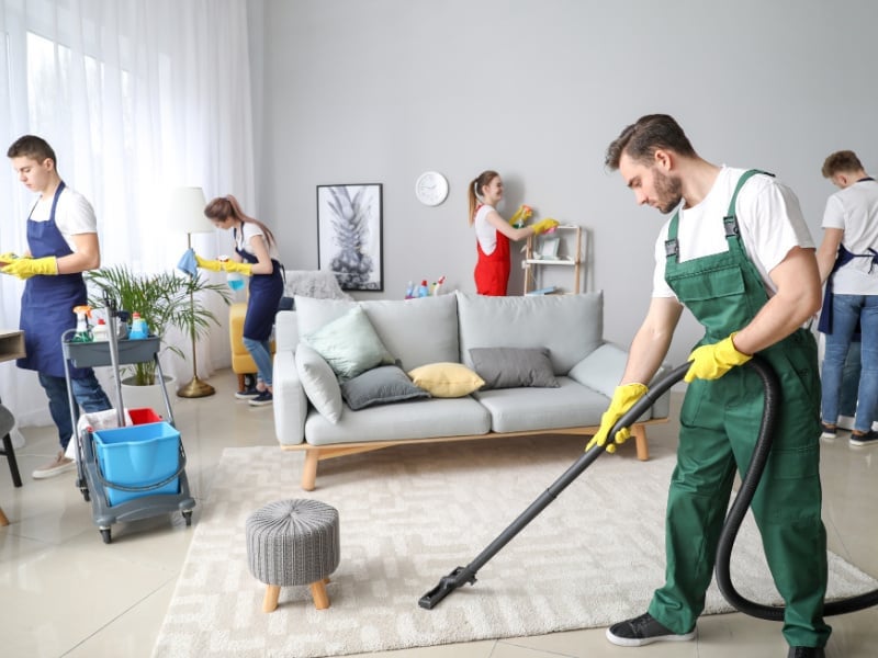 Professional cleaning team at work in Bellingham home